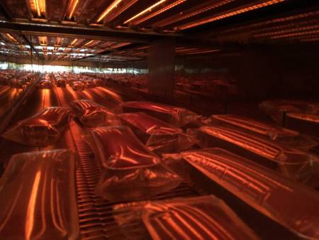 Nuestra zona de actividad para este servicio Soluciones innovadoras de infrarrojos y UV para recubrimientos, curado y aplicaciones industriales
